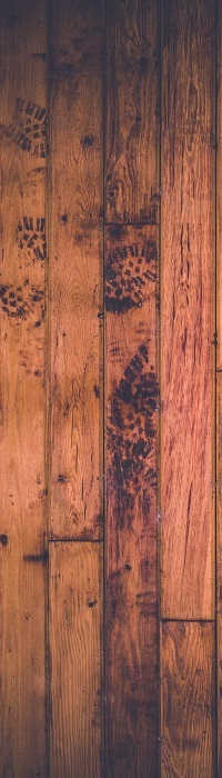 Holz